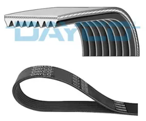 Courroie trapézoïdale à nervures DAYCO 8PK1040HD 