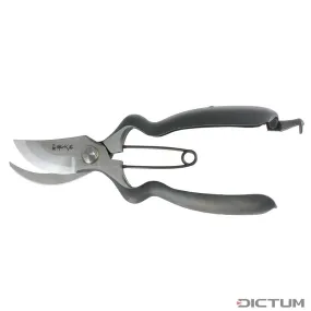 Sécateur à branchages ergonomique